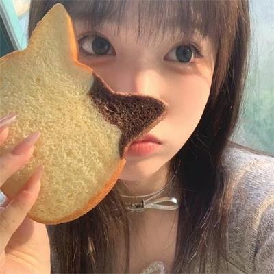 动物